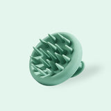 BRUSH & REVIVE